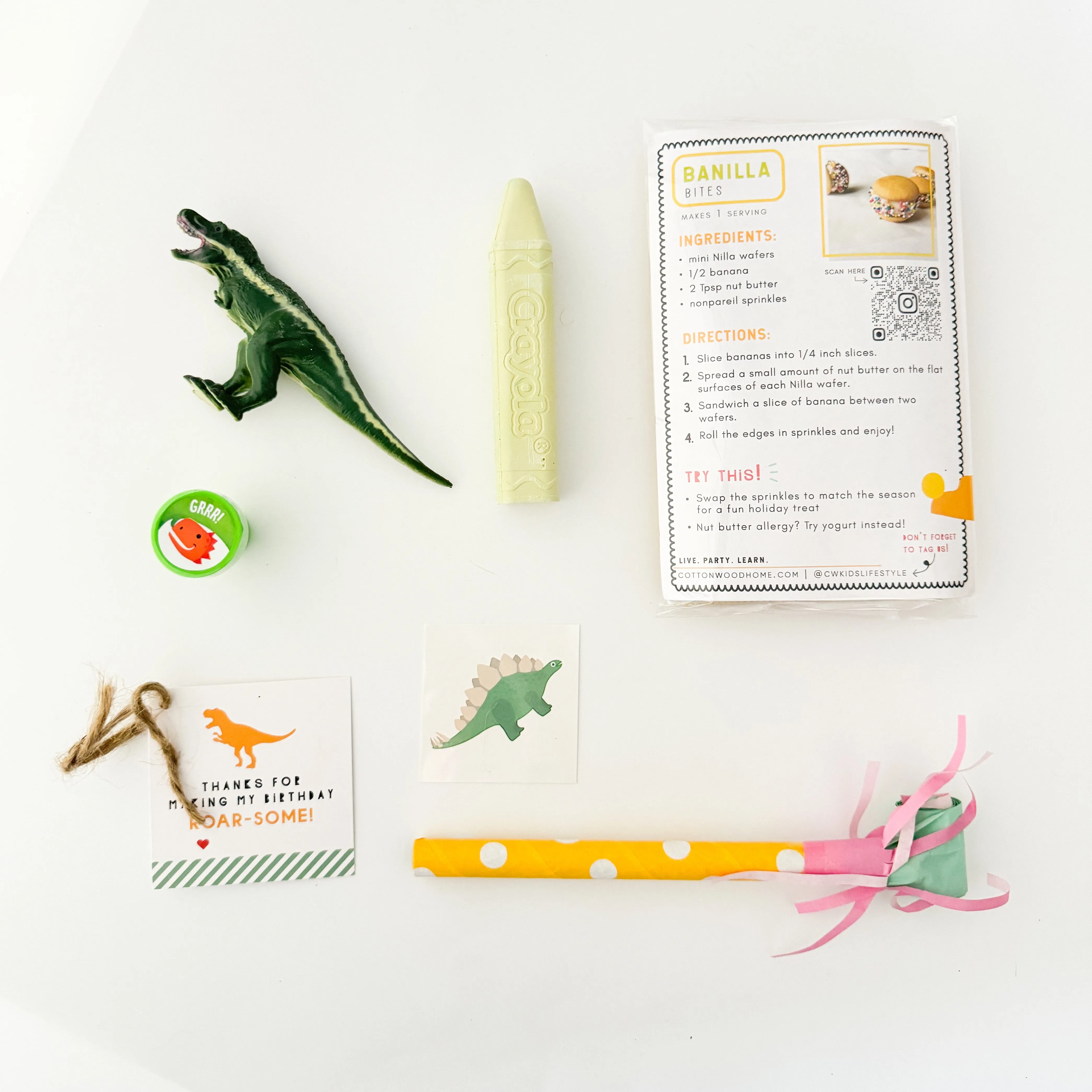 Dinosaur Junior Favor Bag