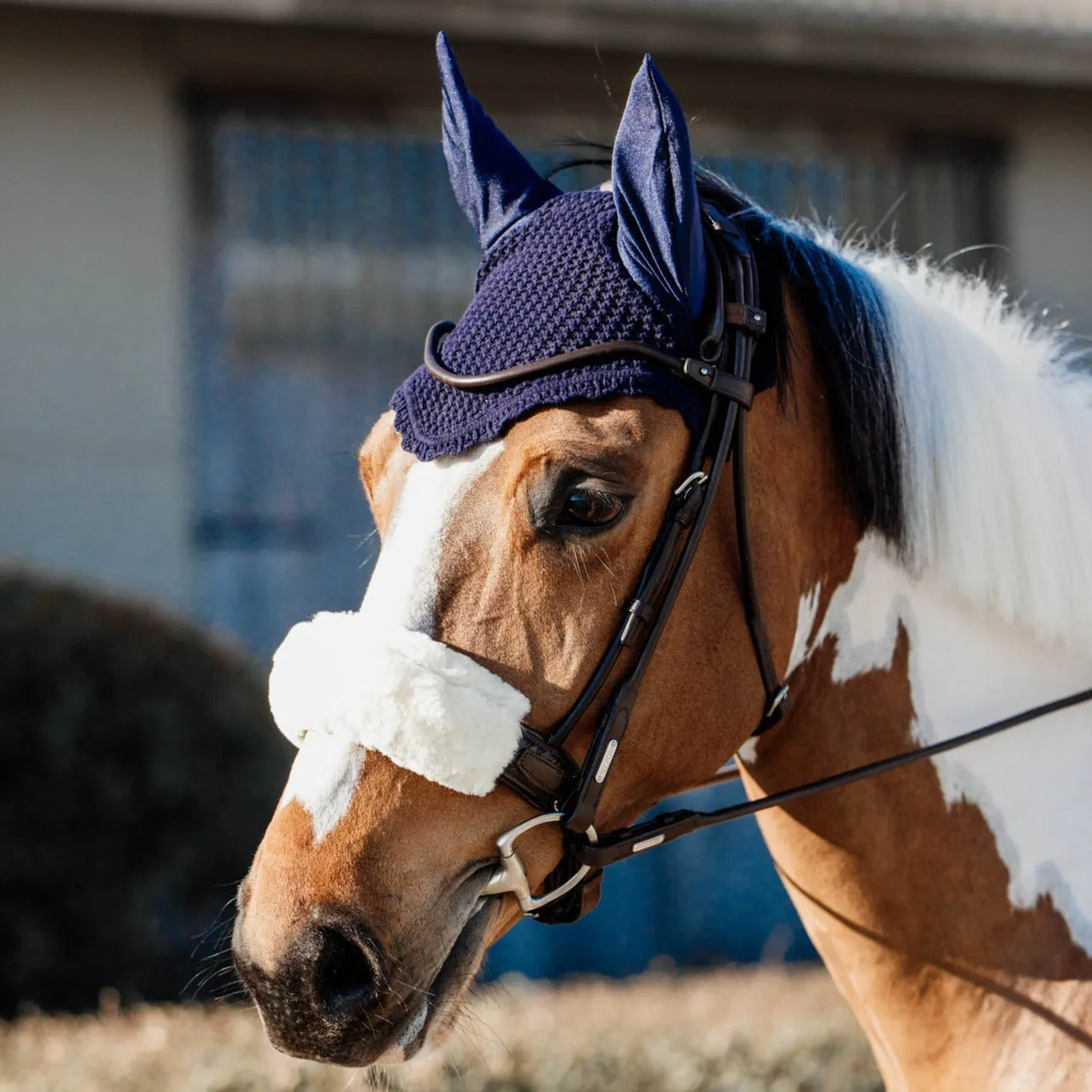 Kentucky Horsewear Ear Bonnet