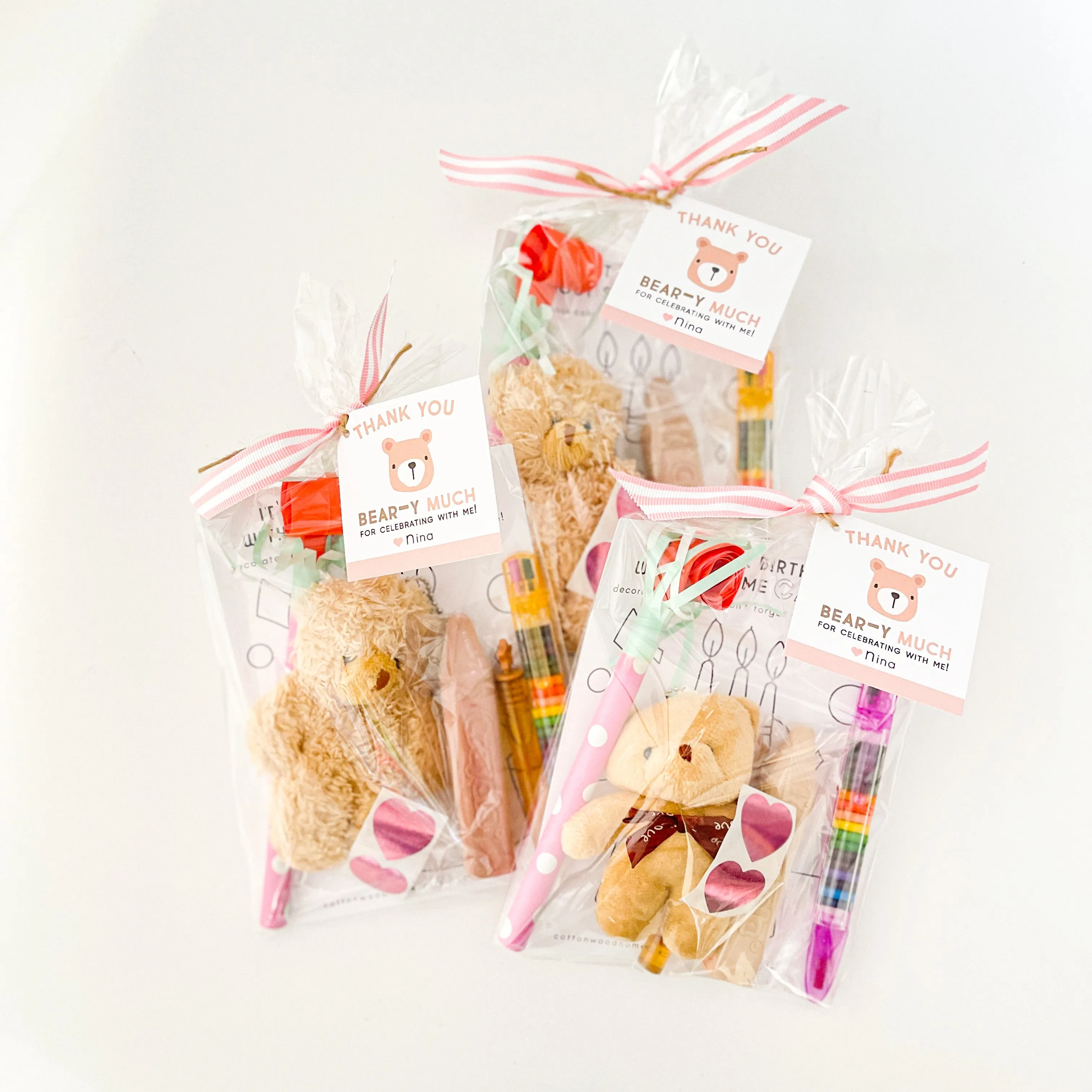 Teddy Bear Favor Bag